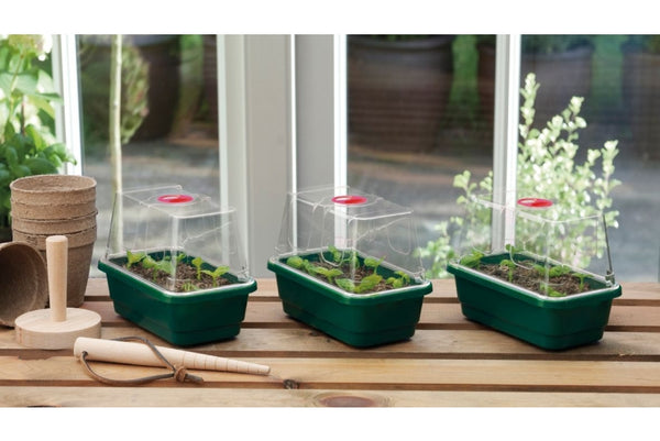 Garland mini high dome propagators