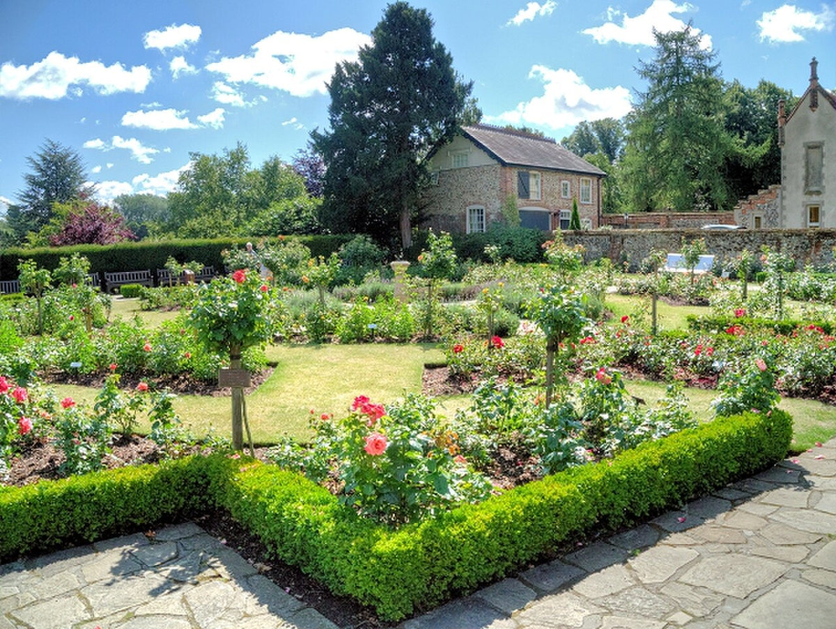 The Old English Rose Garden at Abbey Gardens