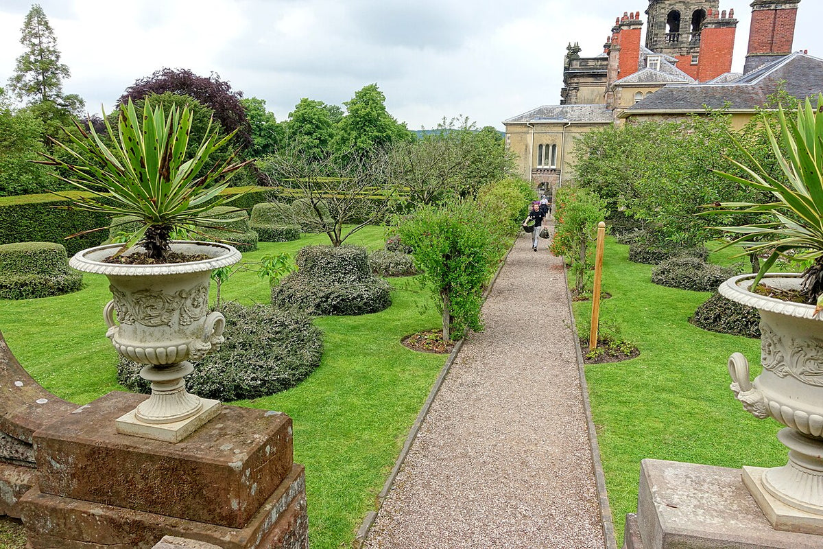 Clipped yew topiary on a terrace at Biddulph Grange, Staffordshire
