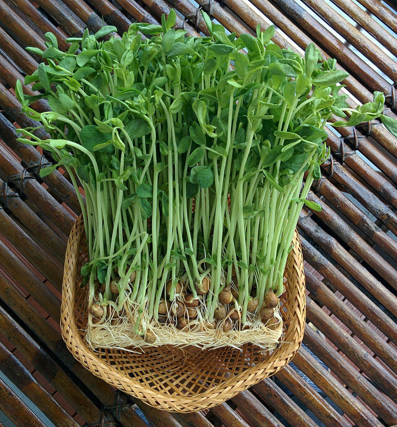 Pea shoots
