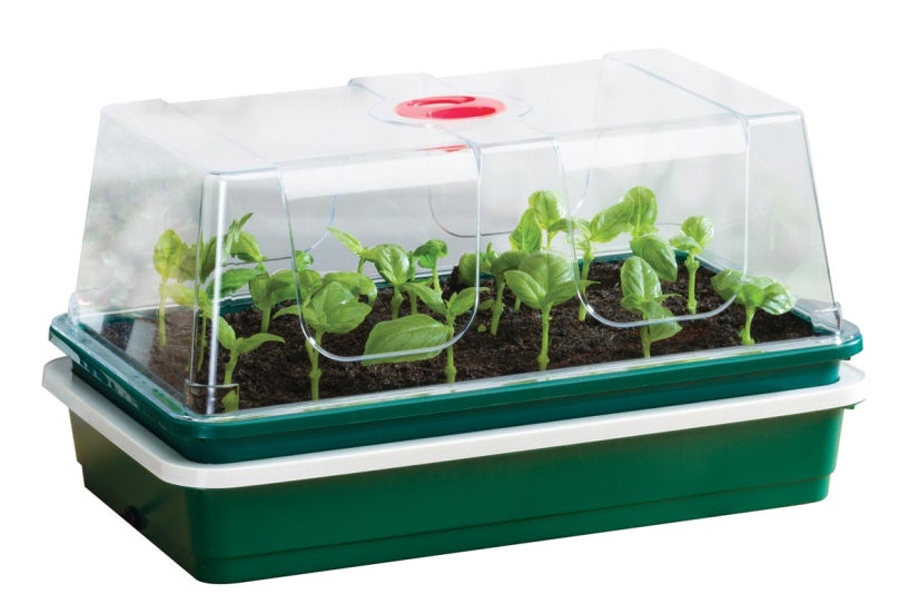 Garland One Top Electric Propagator